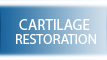 Cartilage Restoration - Michael Bahk MD - Orthopedic Surgeon
